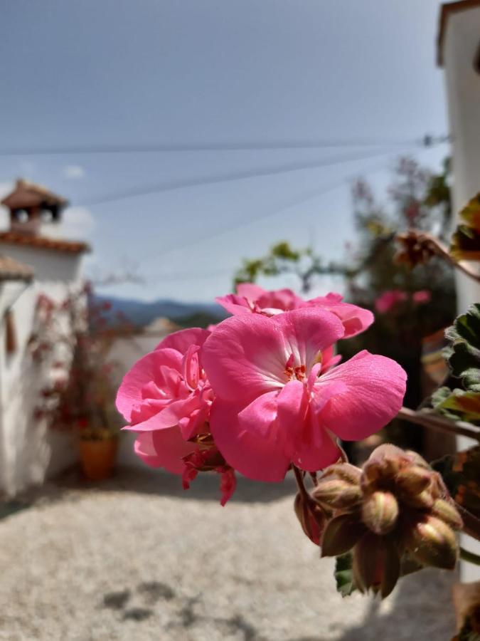 Casa Amani Bed and Breakfast Viñuela Exterior foto